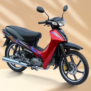 Crypton 110