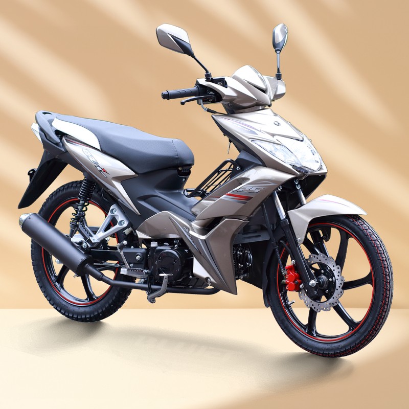 Hawk 110