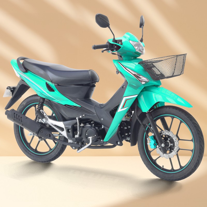 Wolf 110