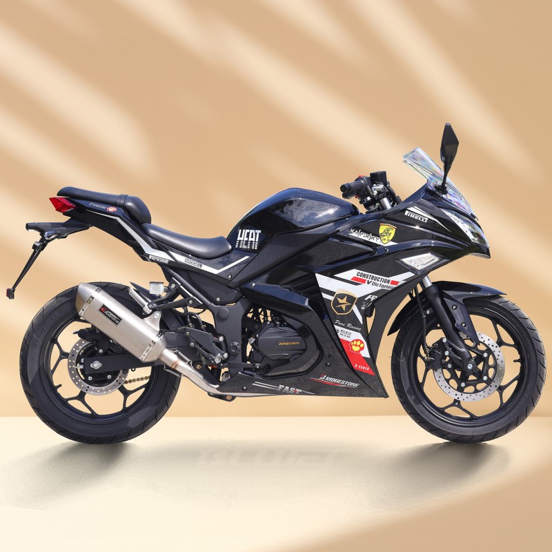 Ninja 250