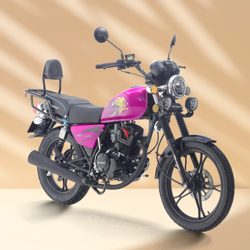 Leon 200 GN200 bera