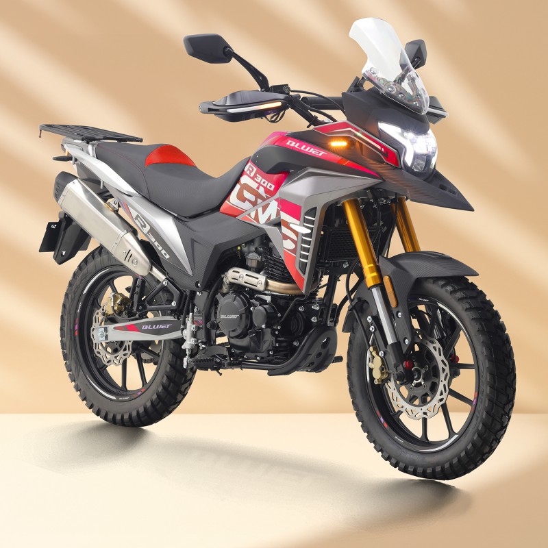 GTS300cc