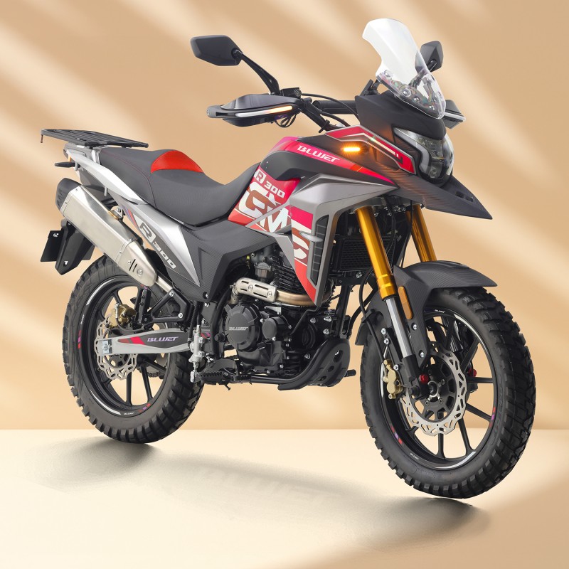 GTS300cc