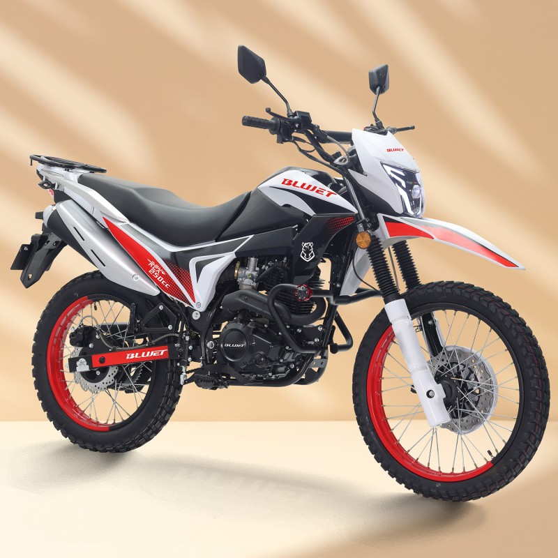Rex 250