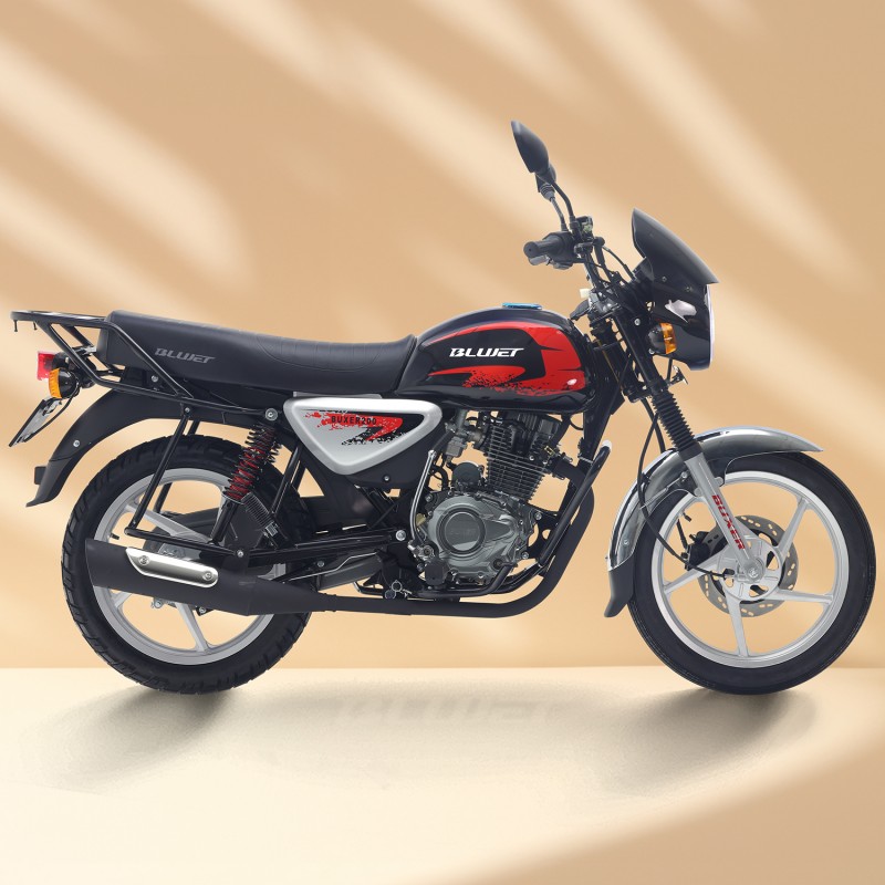 Boxer 150 disc brake
